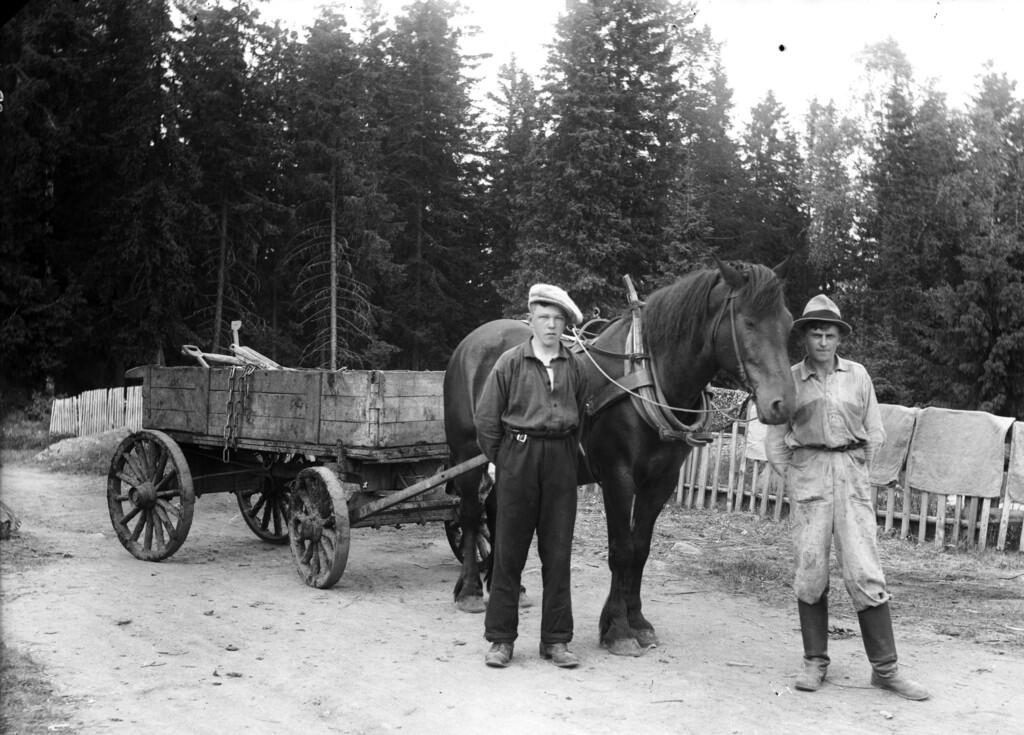 Svartvit bild, två unga män med häst och vagn