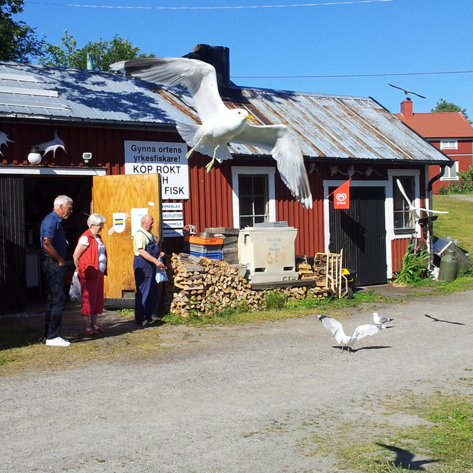 Axmar skärgård – foto Aja Axlund